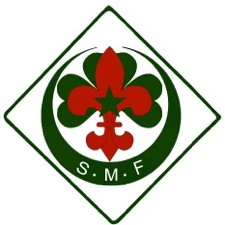 20120227-110012.jpg Logo desScouts